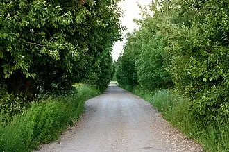 Руново (усадьба) — фото 3