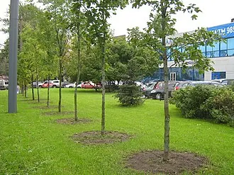 Кристалл (дом быта) — фото 2