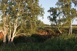 Пещера Притон