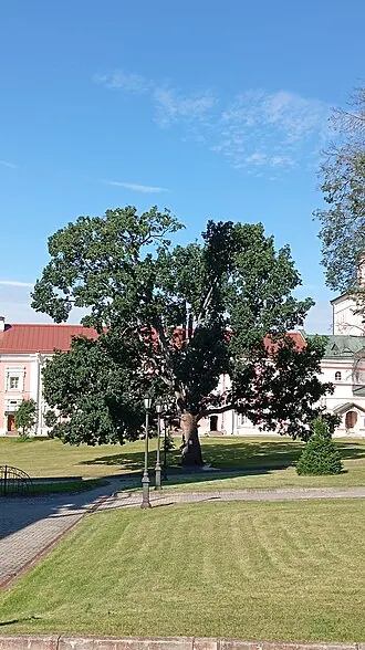 Патриаршая башня — фото 3