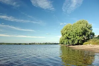 Боровно (озеро, Новгородская область)