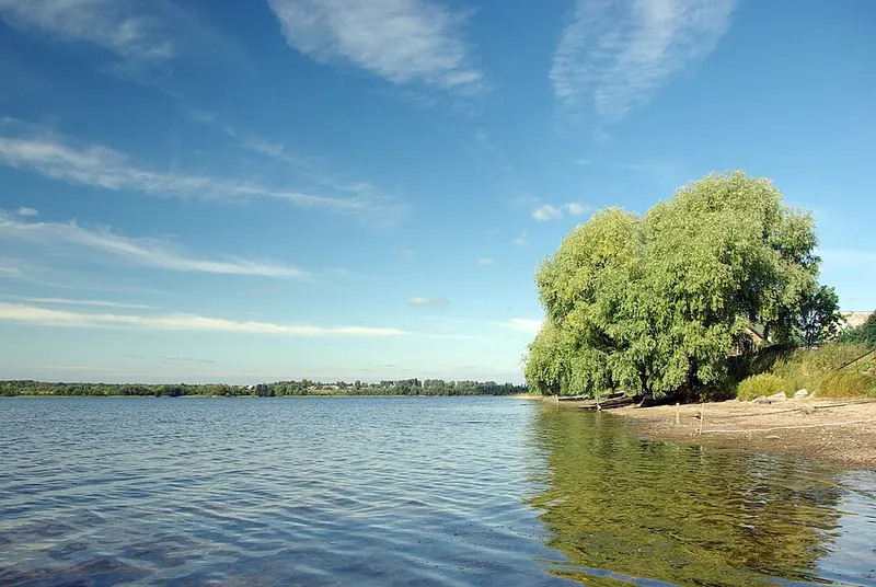 Боровно (озеро, Новгородская область)