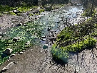 Горячинский источник — фото 3