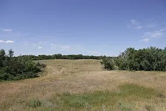 Дьяковский лес