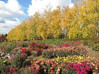 Южно-Уральский ботанический сад-институт УФИЦ РАН — фото 2