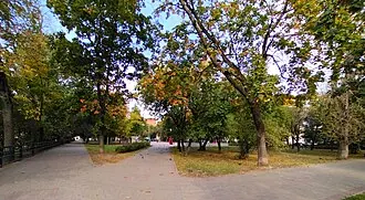Сквер имени П. А. Воронина