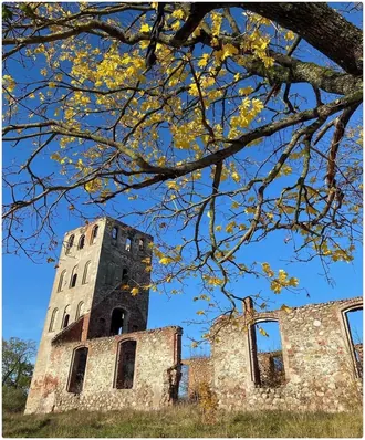 Кирха Нойкирха — фото 3