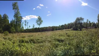 Орлова роща