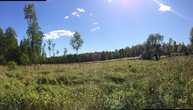 Орлова роща