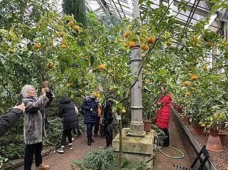 Оранжерейный комплекс Ботанического сада Петра Великого — фото 4