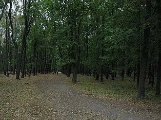 Парк имени К. Д. Глинки — фото 4