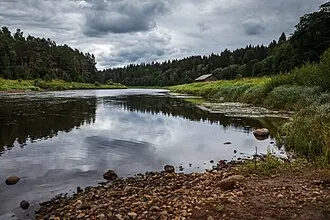 Василёво (усадьба) — фото 4