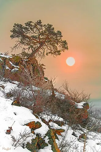 Англичанка (скала) — фото 4