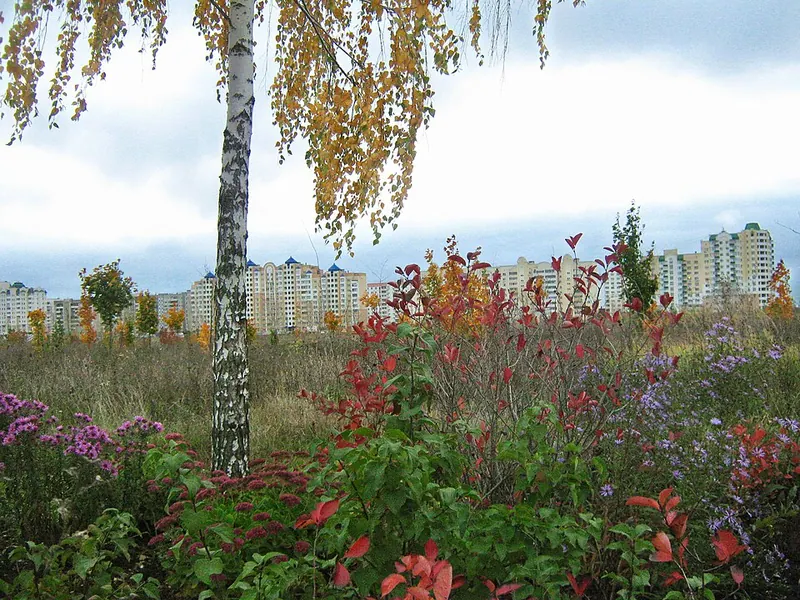 Молодёжный парк (Липецк)