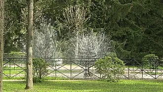 Ёлочки (фонтан-шутиха) — фото 2