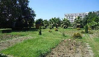 Парк «Южные культуры» — фото 3