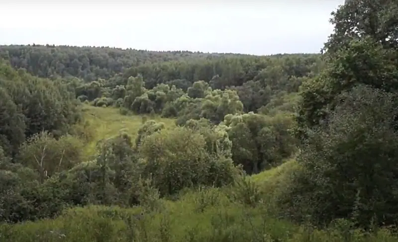 Луковня (городище)