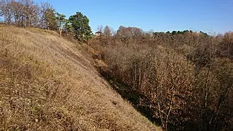 Луковня (городище) — фото 2