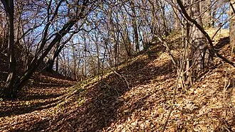 Луковня (городище) — фото 3