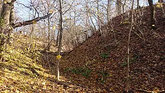 Луковня (городище) — фото 4