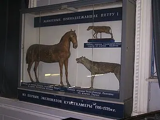 Зоологический музей Зоологического института РАН — фото 3