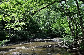Линдуловская роща