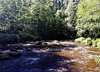 Линдуловская роща — фото 3