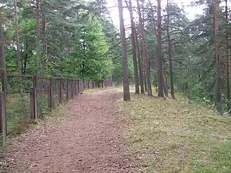 Каунис и Тойвола — фото 2