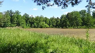 Александрийский парк (Петергоф)