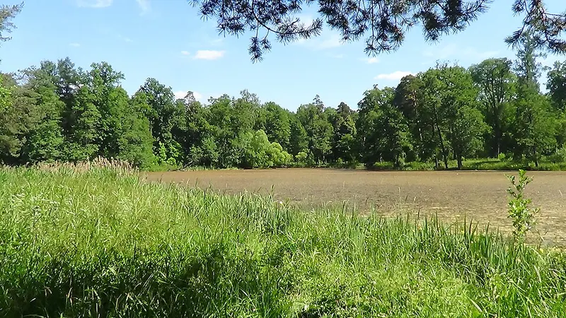 Александрийский парк (Петергоф)