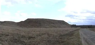 Княжая гора (Новгородская область)