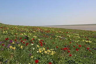 Ростовский заповедник