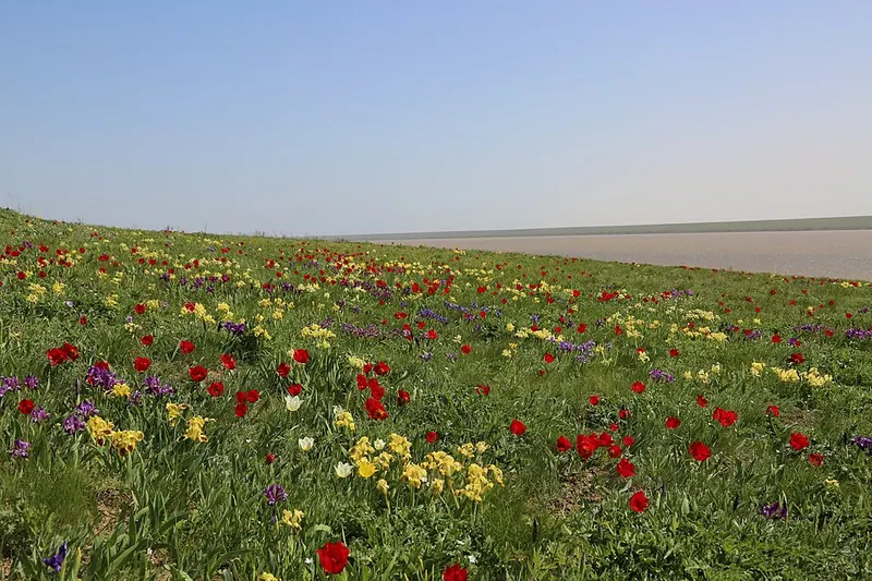 Ростовский заповедник