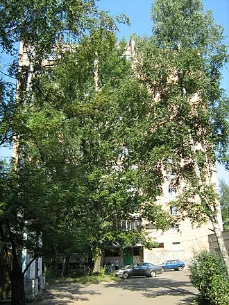 Музей-квартира А. Д. Сахарова (Нижний Новгород) — фото 4