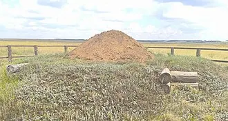 Синташта