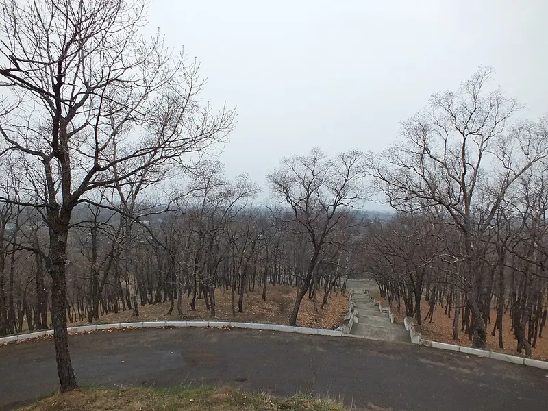 Волочаевская битва (панорама)