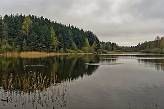 Мельница в деревне Бугрово — фото 3