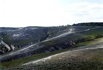 Краматорский ландшафтный парк