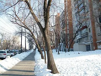 Белый театр (Хабаровск) — фото 2