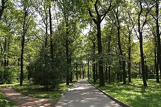 Дубки (парк, Москва)