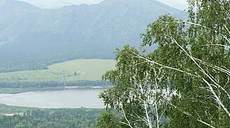 Манжерокское — фото 3