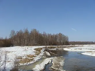 Журавлиная родина — фото 2