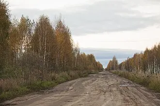 Журавлиная родина — фото 4