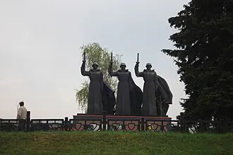 Чижовский плацдарм — фото 3
