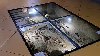 Новосибирский государственный краеведческий музей — фото 4