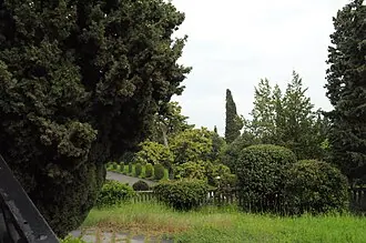 Кипарисный парк