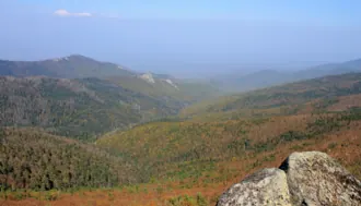 Зов тигра
