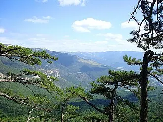 Ялтинский горно-лесной природный заповедник