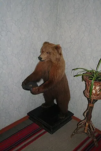 Музей-усадьба Льва Толстого в Хамовниках — фото 4