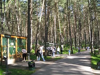 Томская писаница — фото 3